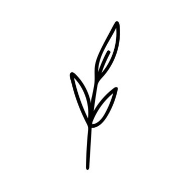 Cadılar Bayramı için yaprakları olan vektör kolu beyaz arka plan karalama tarzında siyah çizgili. Tatil, korku, tüm azizler için çizilmiş el yazısı. Davetiyeler, sosyal medya, ambalaj..