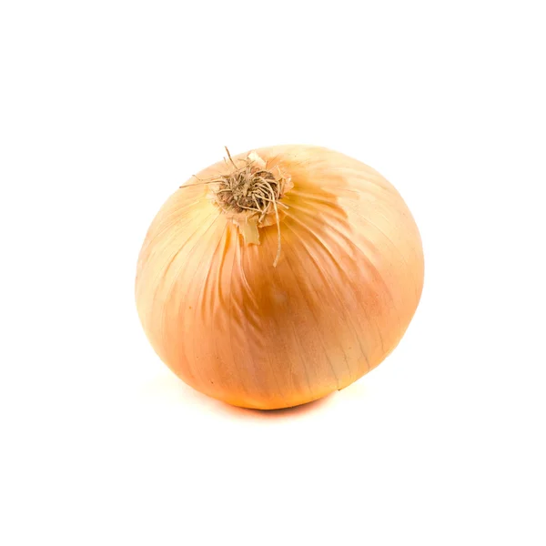 Onions on a white background. — Stock Photo, Image