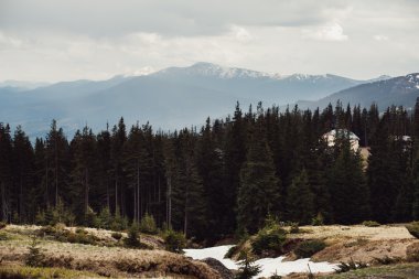 Karpatlar Ukrayna dağlarda manzara