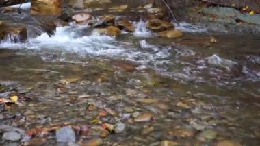 Vahşi Dağ Nehri Yakın Akıntıyı Temizle Statik Deresi Taştan kayalar akıyor. Swift Sulama Suyu 'nda Rock Rapid. Ukrayna, Karpatyalı. 4K