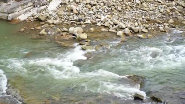 Wild Mountain River Close Clear Stream Static Shot Creek Com — Vídeo de Stock