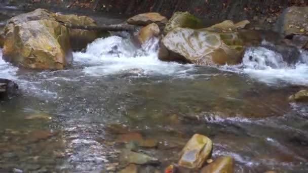 野生山河靠近清澈的溪流 静止不动 石柱滚滚流淌 快速喷水中的岩石 乌克兰 喀尔巴阡山4K — 图库视频影像