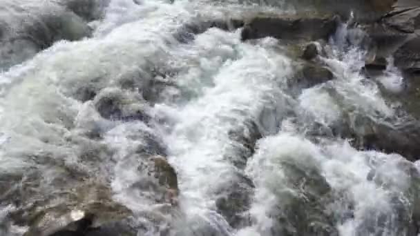 Rivière Wild Mountain Fermer Ruisseau Clear Stream Static Shot Creek — Video