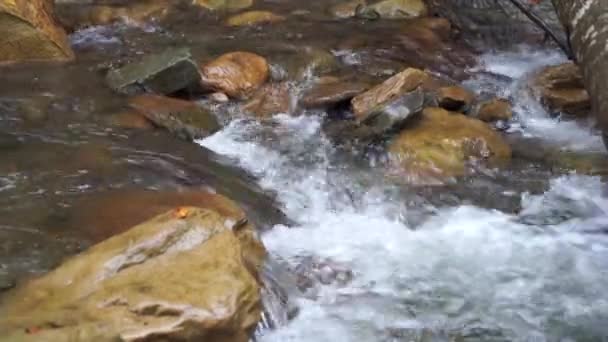 Река Wild Mountain Closer Clear Stream Static Shot Creek Stone — стоковое видео