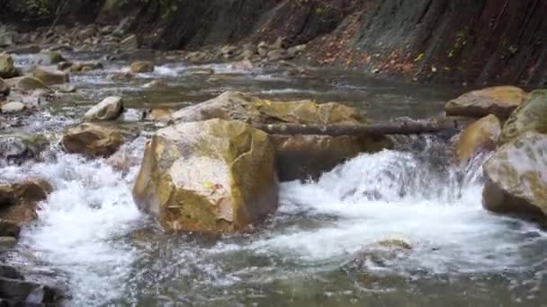 野生山河靠近清澈的溪流 静止不动 石柱滚滚流淌 快速喷水中的岩石 乌克兰 喀尔巴阡山4K — 图库视频影像
