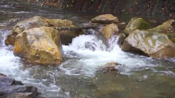 Wild Mountain River Close Clear Stream Static Shot Creek Stone — Stock Video