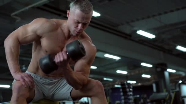 Izmos sportos testépítő fitness modell ülőpad edzés bicepsz lift súlyzók beltéri edzőteremben — Stock videók