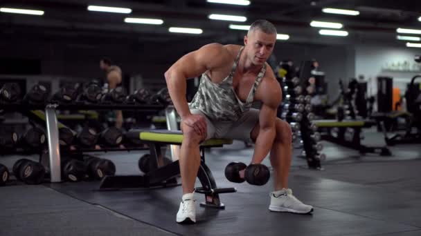 Muscular atlético culturista fitness modelo sentado banco de entrenamiento bíceps levantar pesas en gimnasio interior — Vídeo de stock
