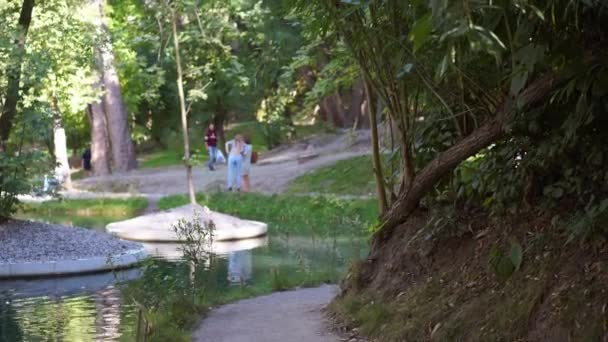 Nainen käynnissä asfalttitie kesäpuisto — kuvapankkivideo