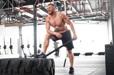 Erkek jimnastik çekici traktör tekerleğine çarptı. Büyük bir lastik sporcusuna çarptı. Orta yaşlı, yakışıklı vücut geliştirici, halterci. 