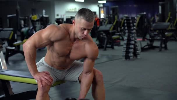 Musclé bodybuilder athlétique fitness modèle assis banc d'entraînement biceps ascenseur haltères dans la salle de gym intérieure — Video