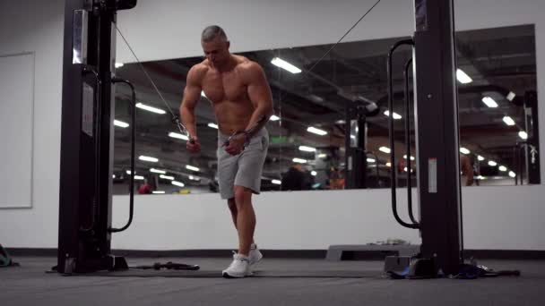 Muscular atlético culturista de pie entrenamiento pecho y hombros músculos en el equipo de fitness — Vídeo de stock
