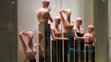Kadın iç çamaşırı modern lüks iç çamaşırı mağazası. Mankenler ayakta dikiliyor.