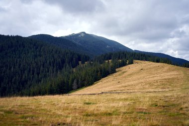 Bulutlu dağ manzarası. Karpat Ukrayna. Güzel manzara.
