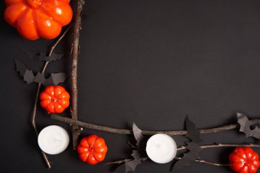 Cadılar Bayramı arka planı, turuncu dekoratif plastik balkabağı kağıt yarasa kuru dal kare çerçeve siyah karton Şükran Günü tebrik kartı deseni