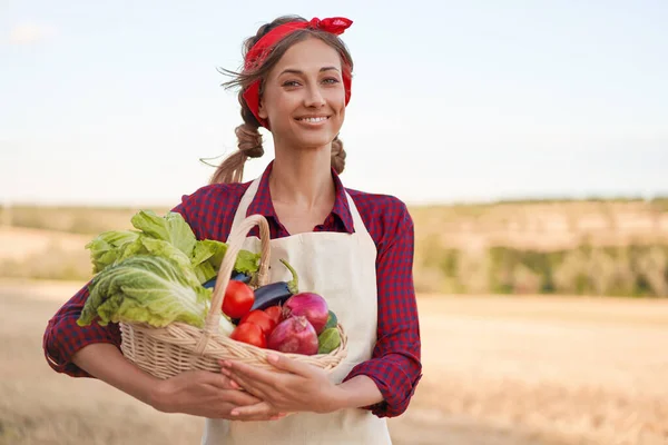 Kobieta Rolnik Gospodarstwa Koszyk Warzyw Cebula Pomidor Sałatka Ogórek Stojący — Zdjęcie stockowe