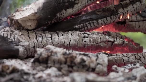 Ved och kol som brinner i brasan — Stockvideo