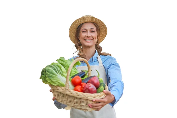 Tablier Habillé Femme Fond Blanc Panier Légumes Agriculteur Concept Agricole — Photo