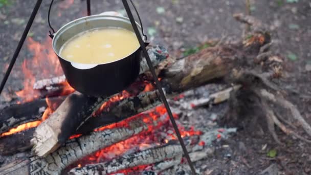 Боулер с вкусной кашей стоит на штативе над костром во время похода в лес — стоковое видео