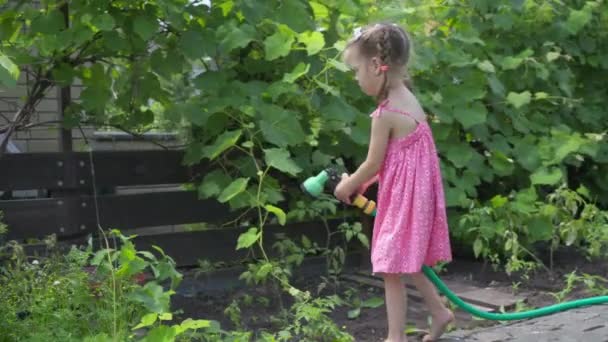 Kleines Mädchen wässert Gemüse Pflanzschlauch Sprinkler Hinterhof Garten — Stockvideo