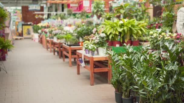 Mercado de flores com planta de sala variedade Pessoas andando — Vídeo de Stock