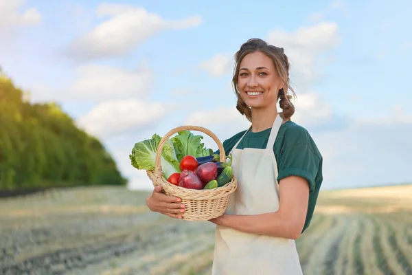 Mulher Agricultor Segurando Cesta Cebola Vegetal Salada Tomate Pepino Terras — Fotografia de Stock