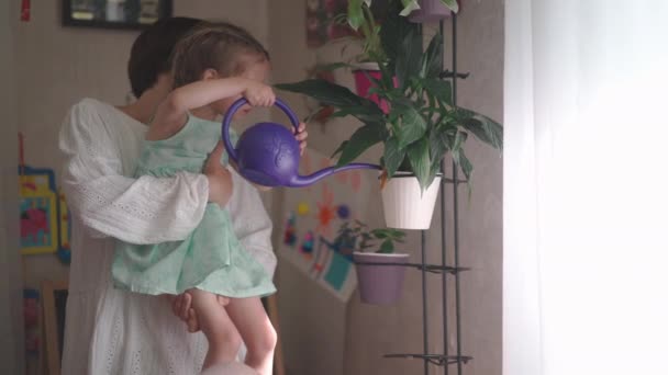 Niña WIth Madre Riego Casa Ficus ventana alféizar — Vídeos de Stock