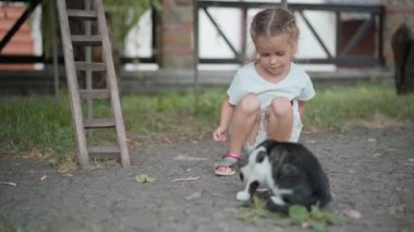 Küçük kız dışarıda kedilerle oynuyor Yaz günü