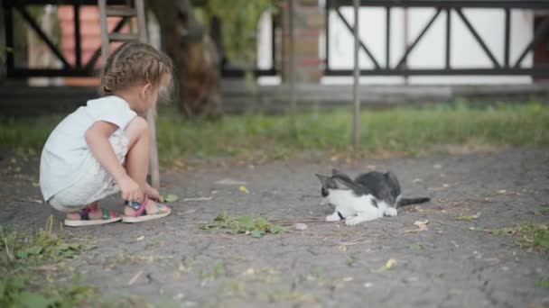 Lille pige leger med kat udendørs sommerdag – Stock-video