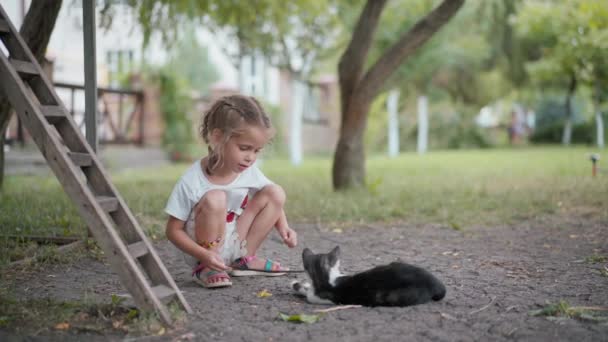 Malá dívka hraje s kočkou venku letní den — Stock video