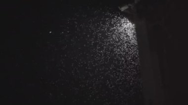 Geceleri sokak ışıklarının etrafında uçuşan böcekler.