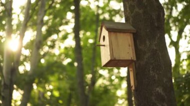 El bilgisayarı efekti Ağaç Yazı Güneşli Gününde Kuş Evi 