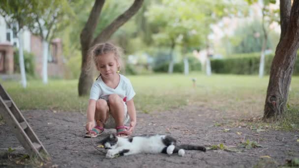 Liten flicka leker med katt utomhus Sommardag — Stockvideo