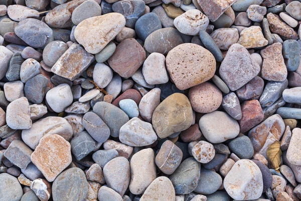 Textura de pequeñas piedras marinas — Foto de Stock