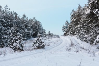 karlı bir ormanda yol