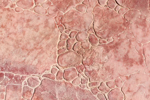 Текстура каменной плитки пола с круглыми камнями — стоковое фото