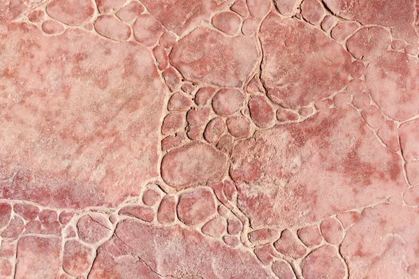 Textura de pisos de pedra com pedras redondas — Fotografia de Stock