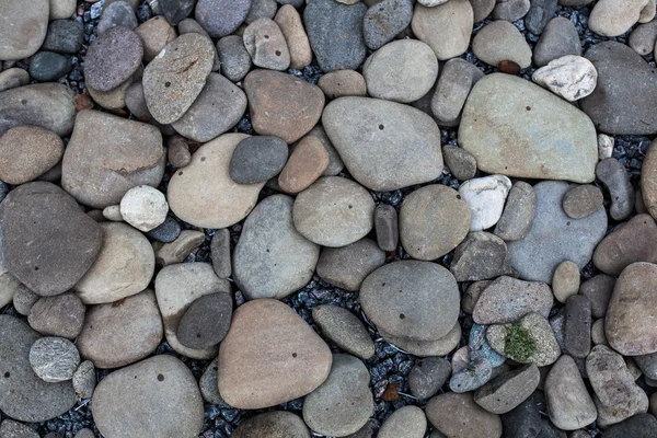 Textura de pequenas pedras marinhas — Fotografia de Stock