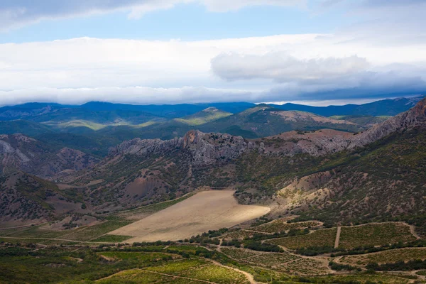 Güzel vadi dağ üzüm bağları ile — Stok fotoğraf