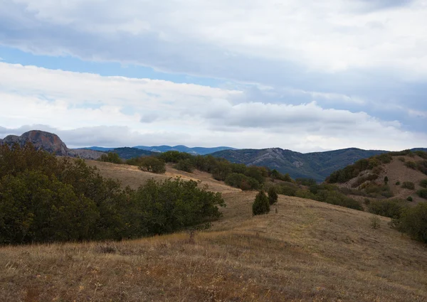 Sommet de montagne avec verdure sur le fond du ciel — Photo