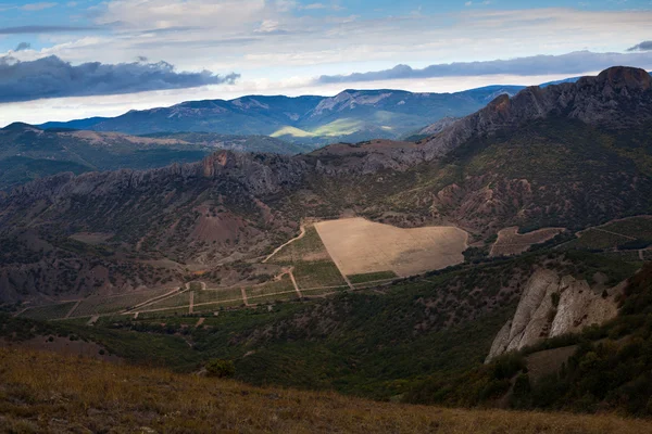 Beautiful valley in the mountains with vineyards — Stock Photo, Image