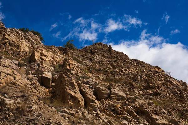 Paysage avec des arbres contre les montagnes et le beau ciel — Photo