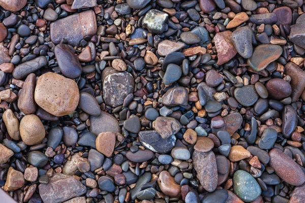 Texture of wet shiny small sea stones — Stock Photo, Image