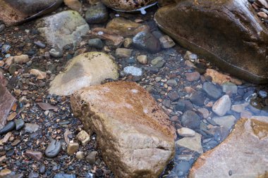 farklı boyutlarda keskin deniz taş dokusuna