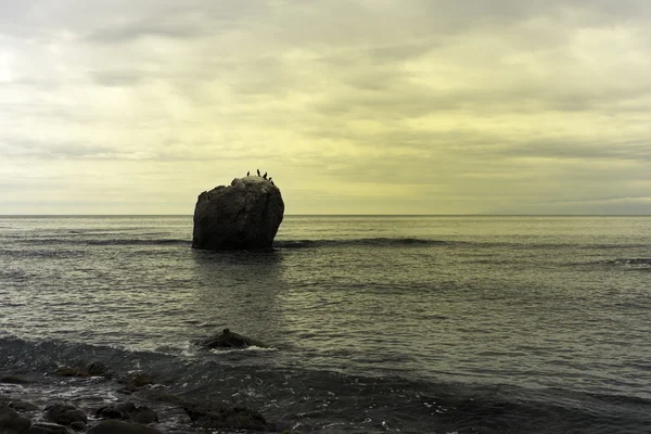 Великий камінь у морі — стокове фото