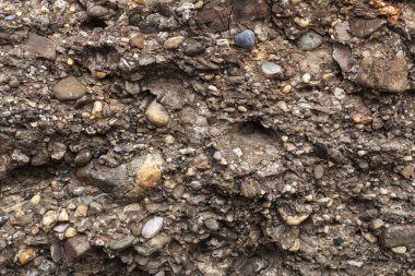 bir taş yosun ve mantar w ile doğal renkli desen