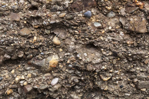 Motif coloré naturel sur une seule pierre avec mousse et champignon w — Photo