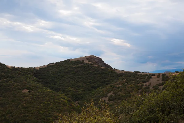 Sommet de montagne avec verdure sur le fond du ciel — Photo