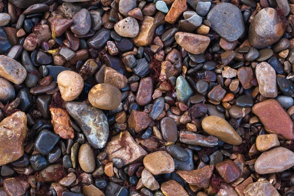 Tekstury mokry morze błyszczący małe kamienie — Zdjęcie stockowe