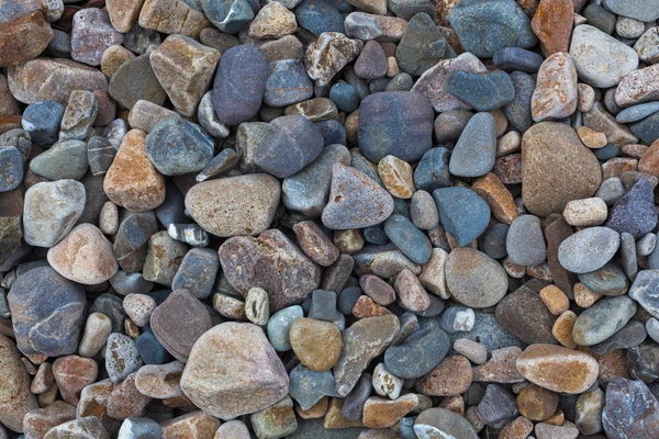 Textura de pequeñas piedras marinas — Foto de Stock